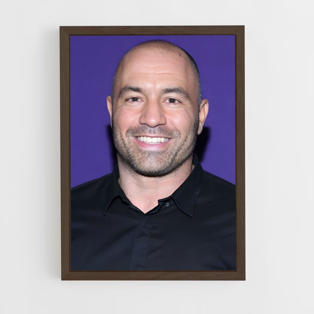 Poster The Joe Rogan Experience – affiche MMA (vue 5)